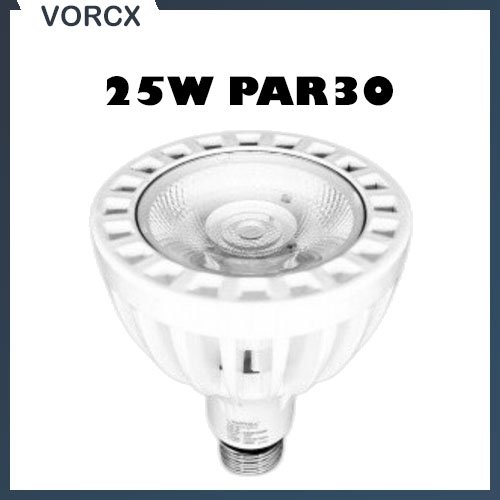 PerfectOne 25W PAR30 Bulb