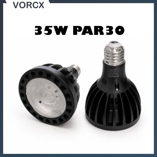 Mesal 35W PAR30 Bulb