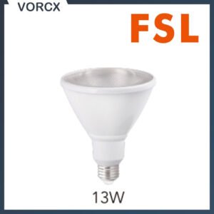 FSL 13W PAR30 Bulb