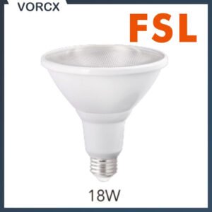 FSL 17W PAR38 Bulb